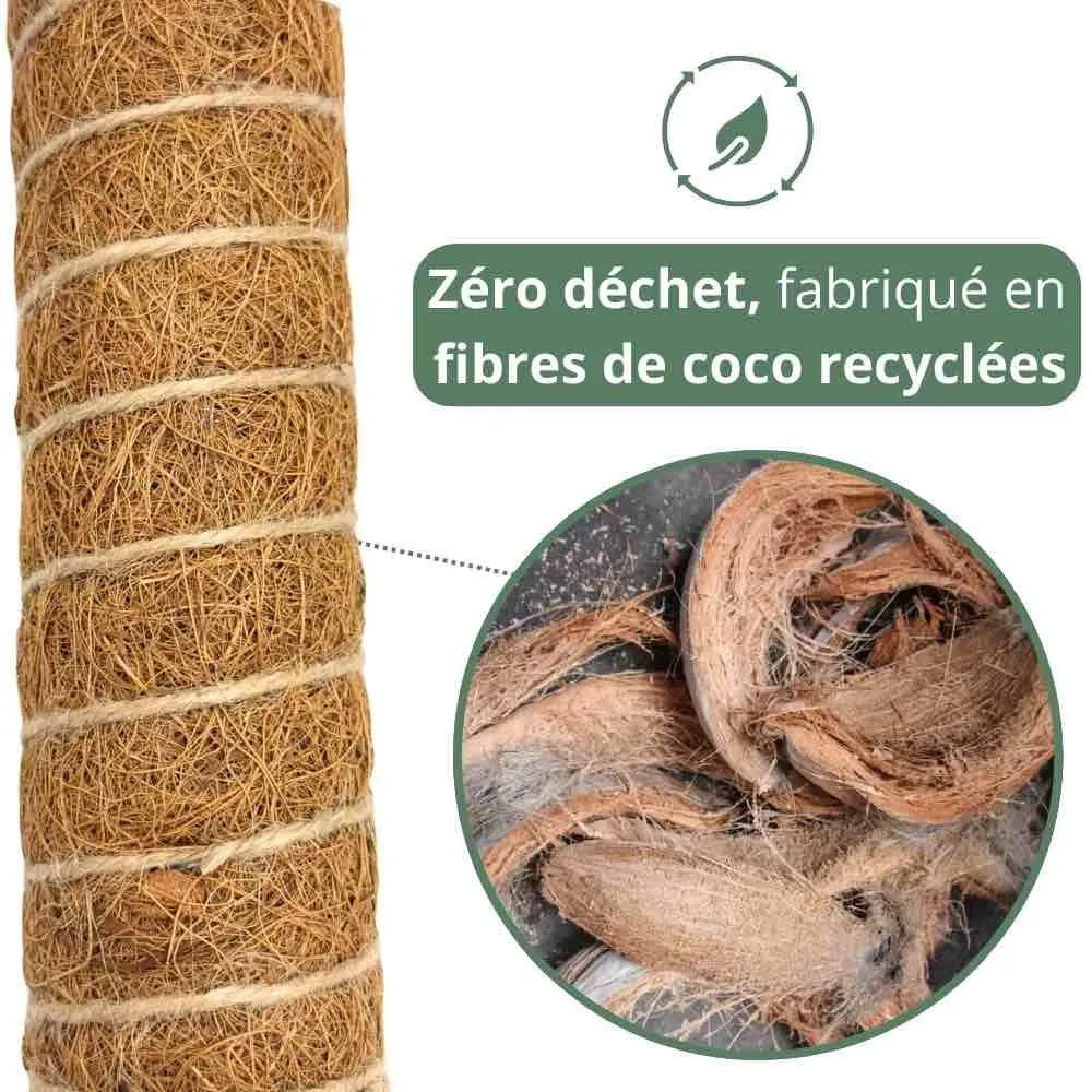 Plant and Stories Tuteurs coco plantes grimpantes lot 2 + velcro