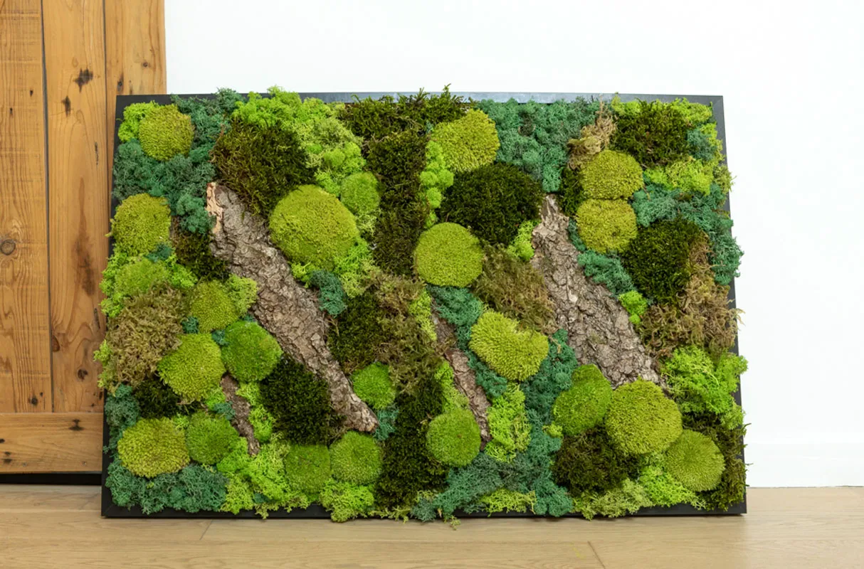 Réconciliation Végétale Forest tableau végétal stabilisé rectangulaire 61x91