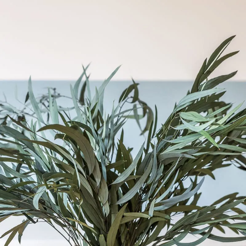 Réconciliation Végétale eucalyptus willow bouquet séché 150g vert
