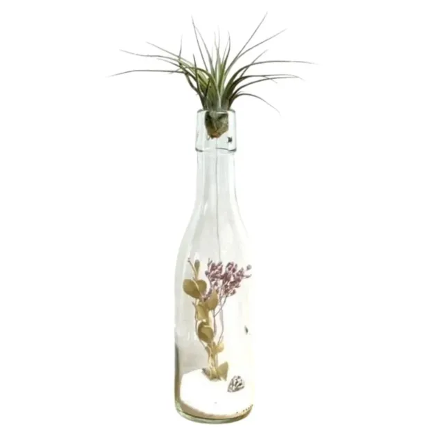 Airplantshop DIY bouteille fleurs séchées avec tillandsia