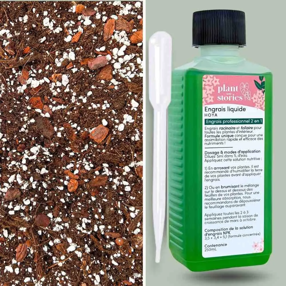 Plant and Stories Hoya Premium duo terreau engrais 4L + 250ml drainant