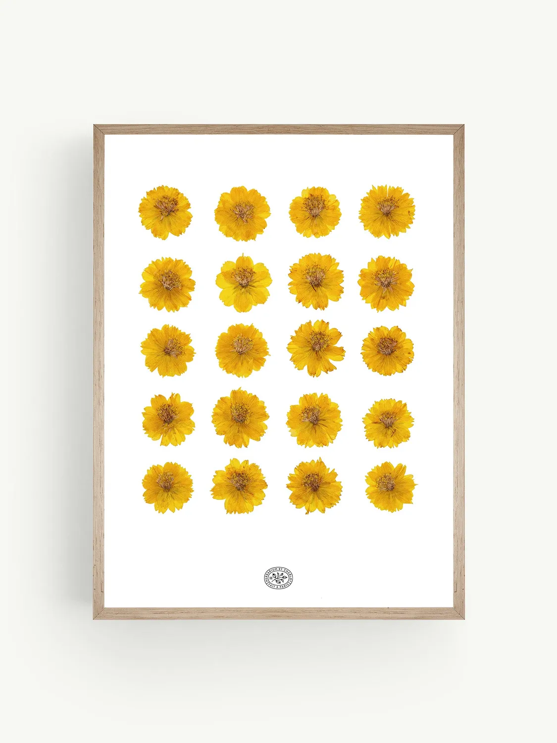 By Charlot Herbier Léo cadre 30x40 cosmos