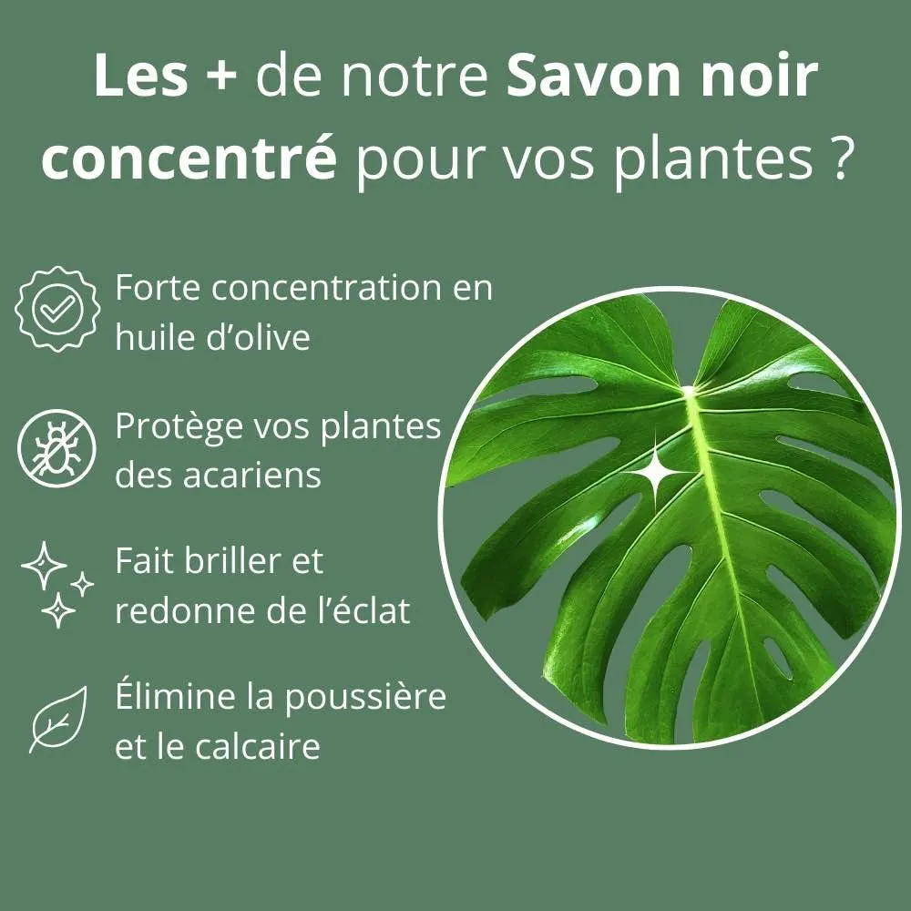 Plant and Stories savon noir plantes 100 ml naturel