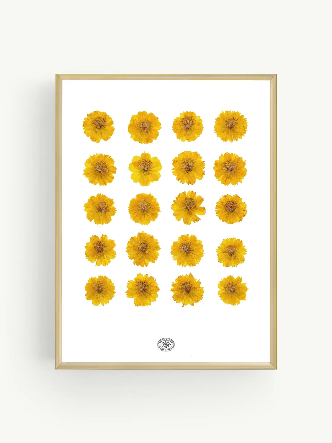 By Charlot Herbier Léo cadre 30x40 cosmos