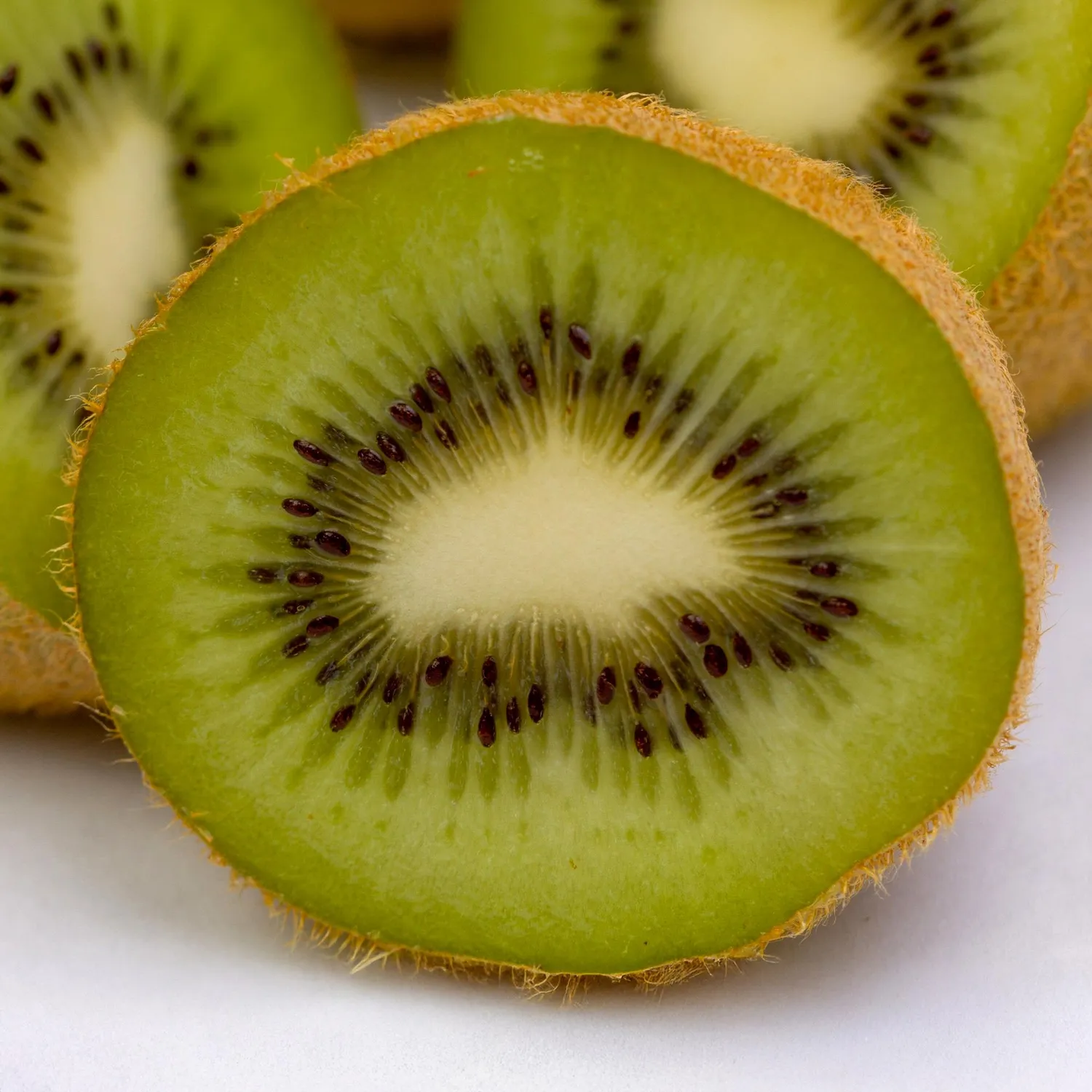 Plant and Stories Jenny kiwi fruitier grimpant 2 plants pot 15 cm