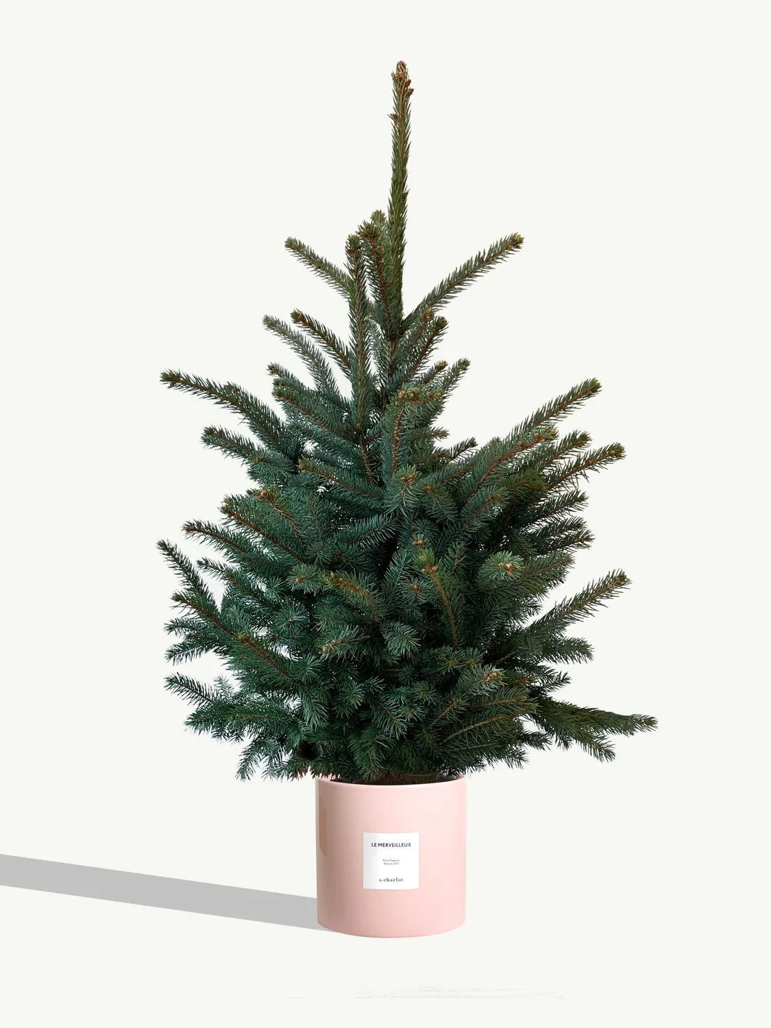 By Charlot Le Merveilleux sapin 120 cm pot 24 cm coffret