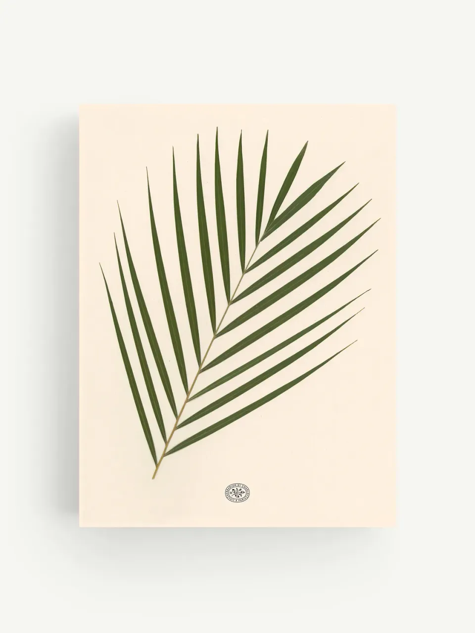 By Charlot herbier Palmier fond beige 30x40