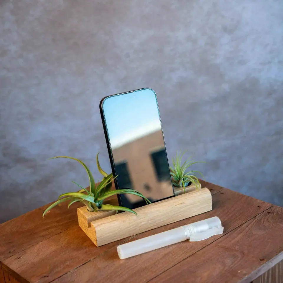 Airplantshop support téléphone bois frêne avec 2 tillandsias