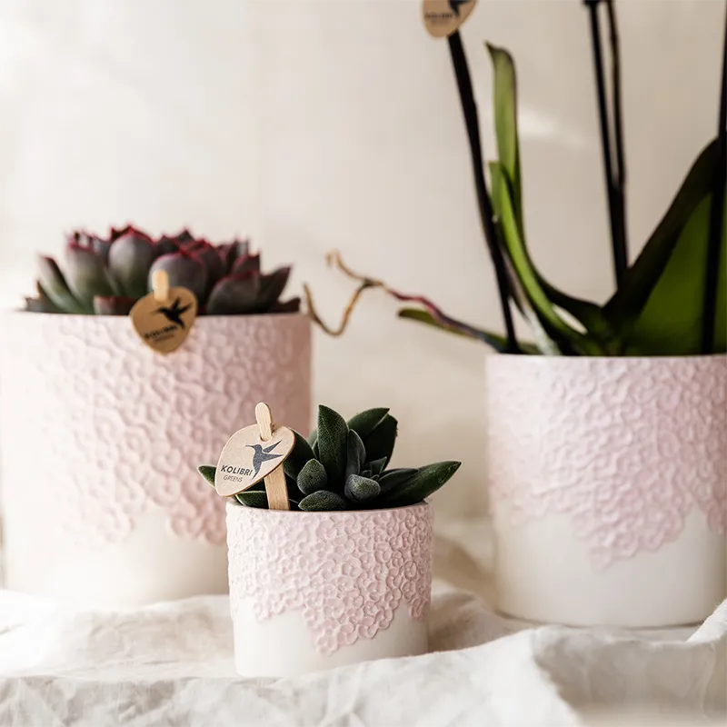 Plant and Stories Bloompot cache-pot céramique sable 9 cm