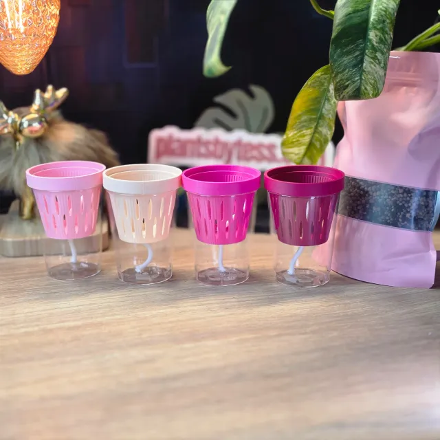 plant.ess MIDI SIPS pot auto-arrosant lot 4 Multi Color 8x6 cm