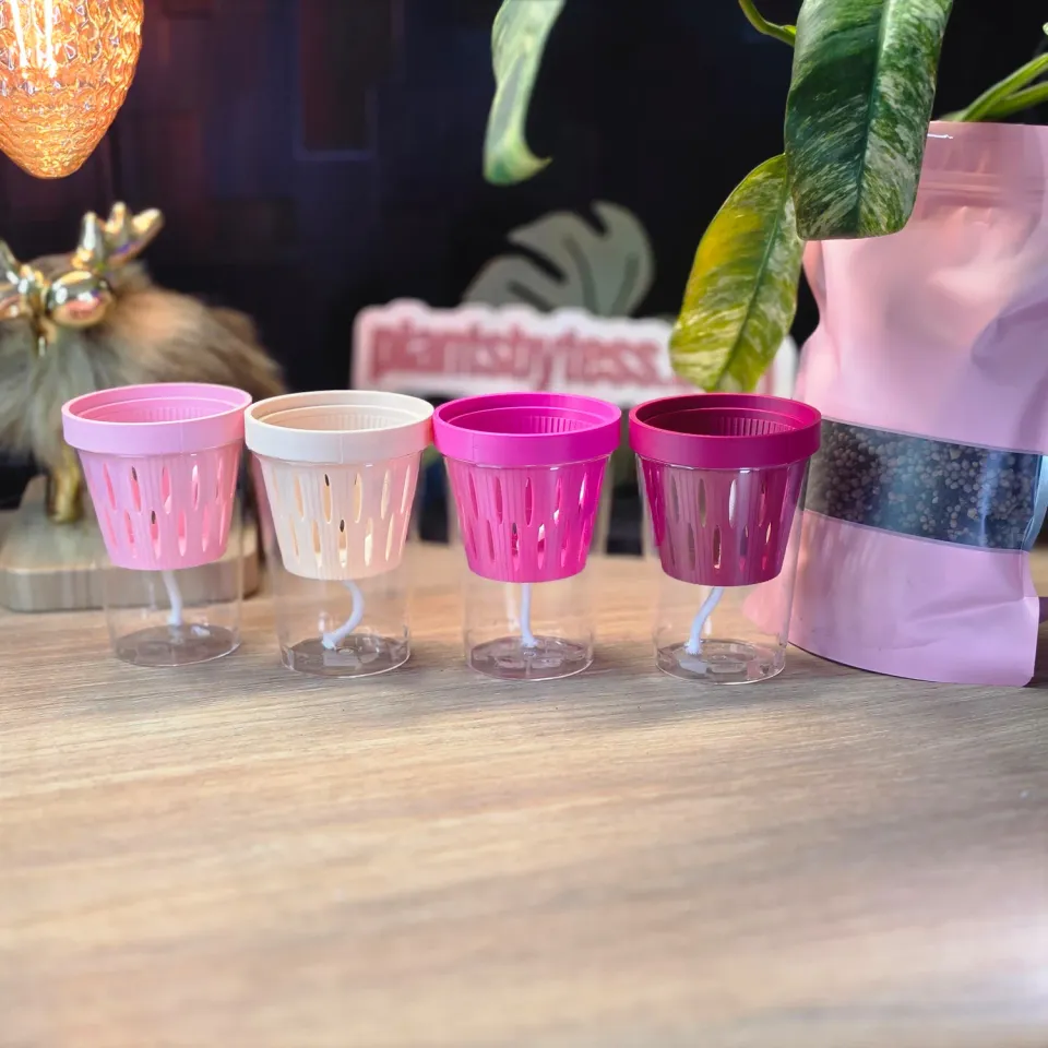 plant.ess MIDI SIPS pot auto-arrosant lot 4 Multi Color 8x6 cm