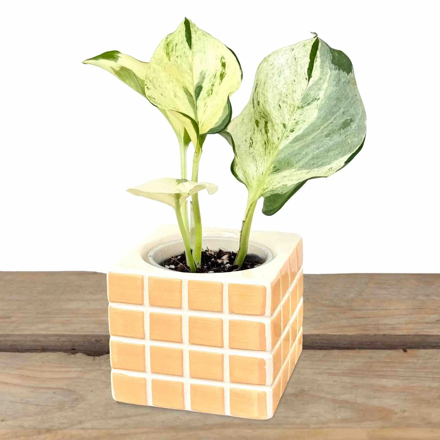 Plant and Stories lot 3 cache-pots Pixel céramique intérieur 6 cm