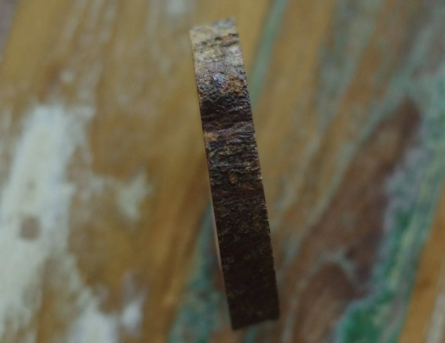 AQUAPHYTE Anneau Mahogany support bois acajou