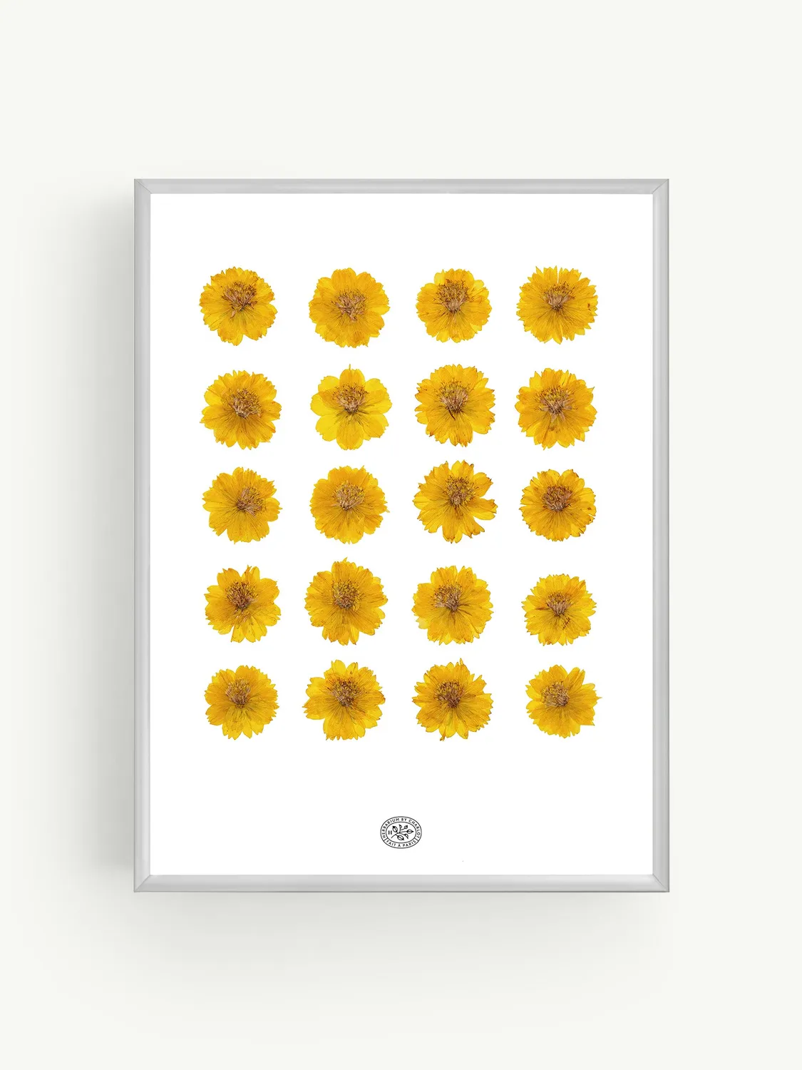 By Charlot Herbier Léo cadre 30x40 cosmos