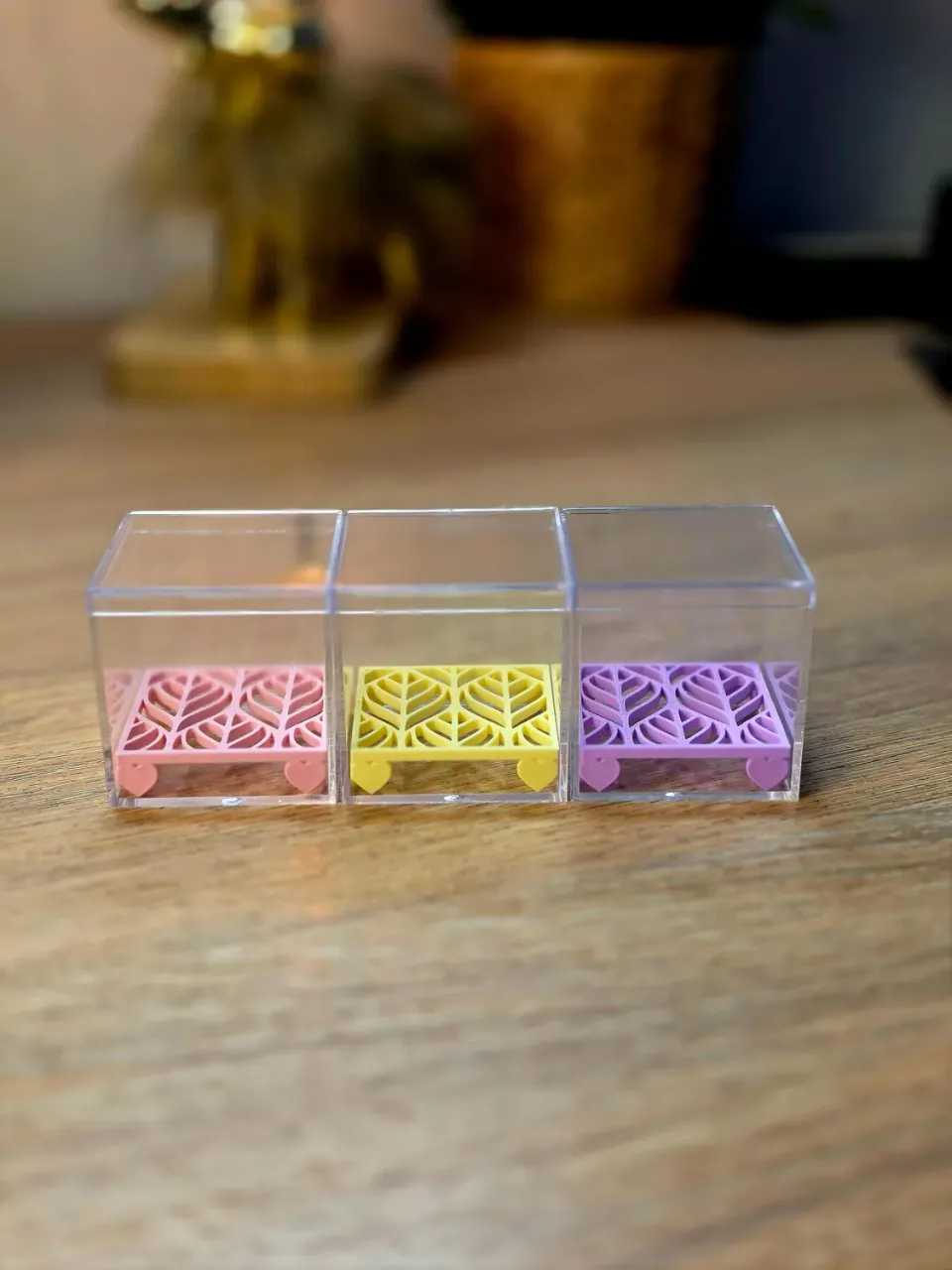 plant.ess Corm Risers kit propagation 3 rehausses boîte acrylique