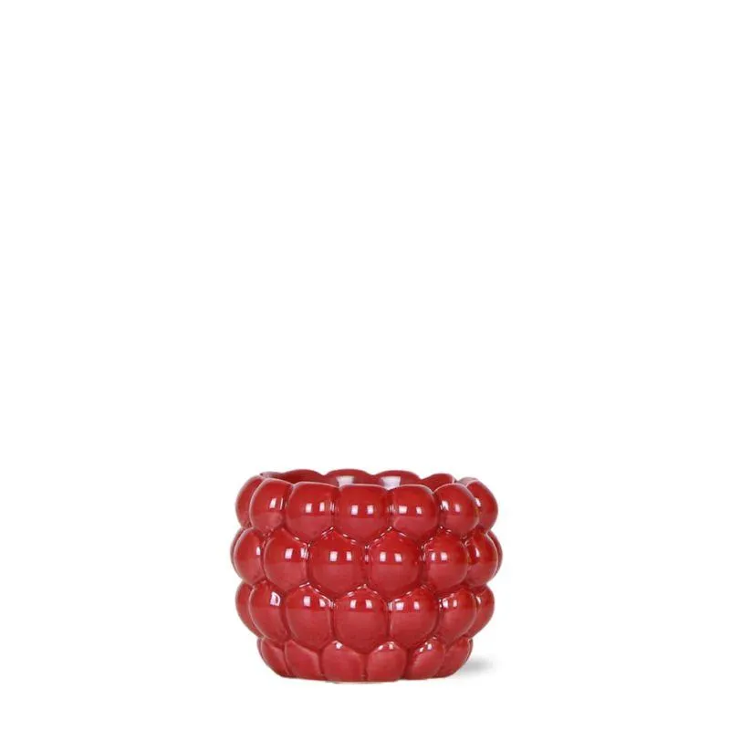 Plant and Stories Cache-pot céramique rouge 12 cm plante