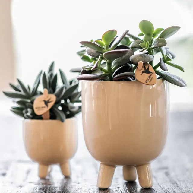 Plant and Stories Gummy cache-pot céramique 6 cm travertin