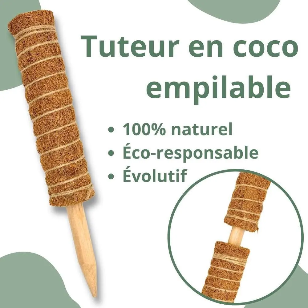Plant and Stories Tuteurs coco plantes grimpantes lot 2 + velcro