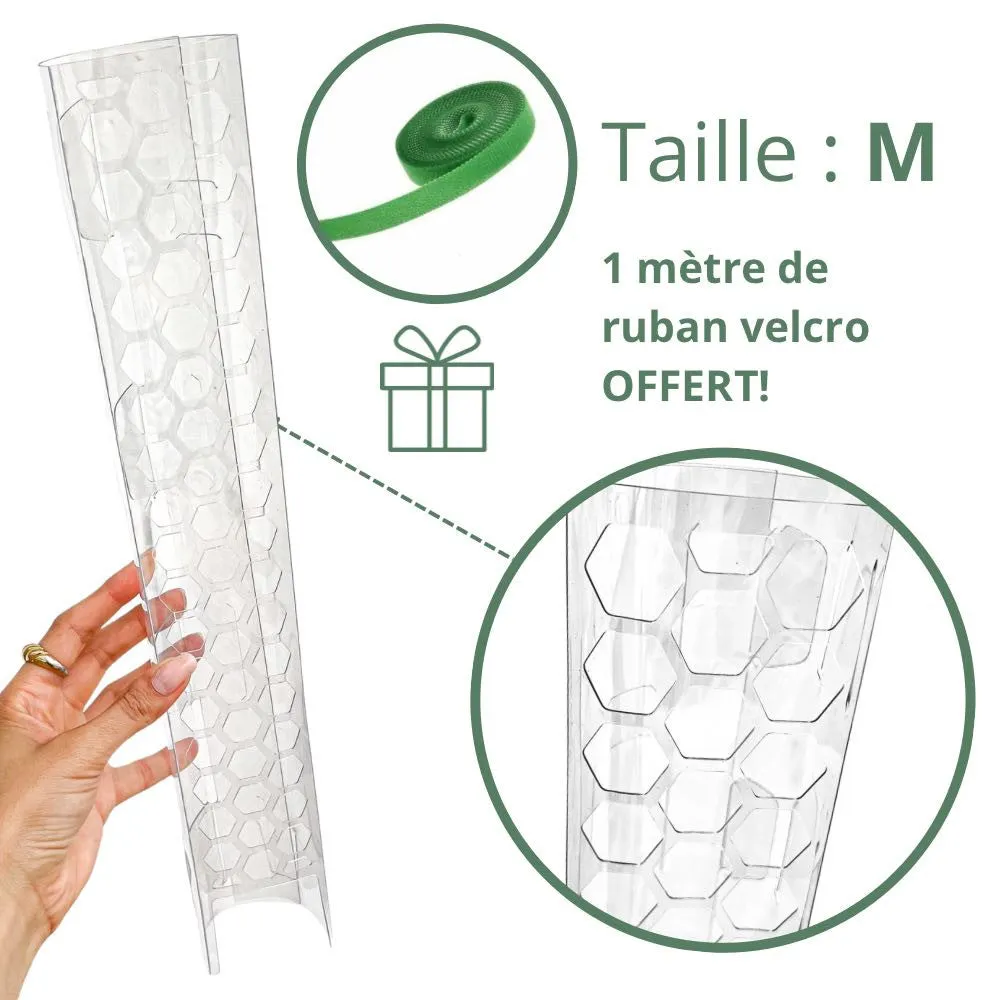 Plant and Stories tuteur transparent plantes x3 taille S
